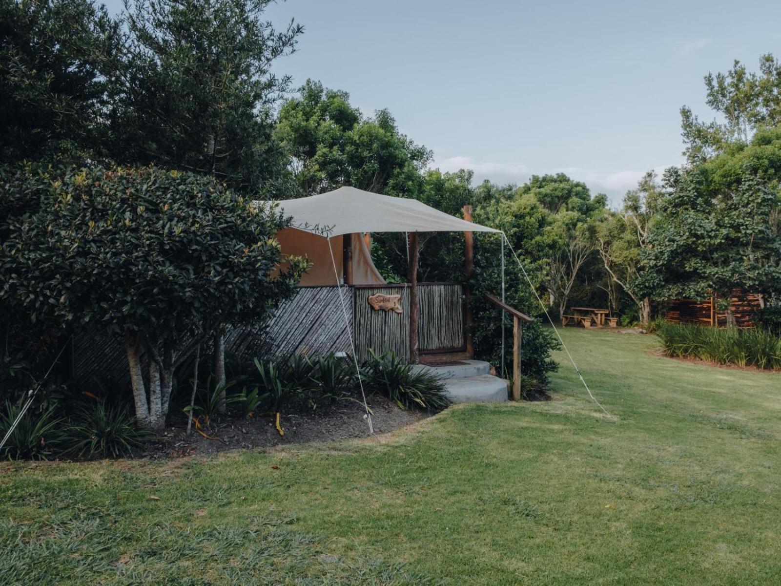 Firefly Falls Plettenberg Bay Exterior foto