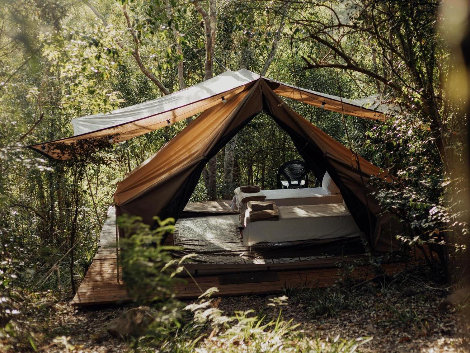 Firefly Falls Plettenberg Bay Exterior foto