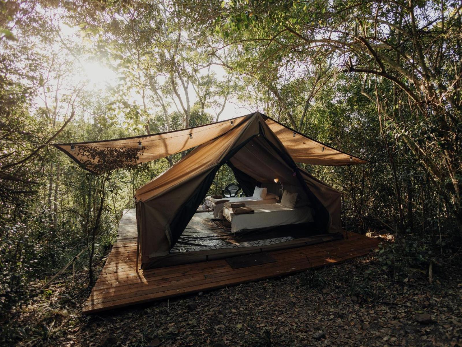 Firefly Falls Plettenberg Bay Exterior foto